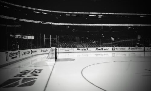 black and white photo of a goal at the honda center